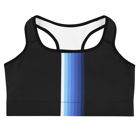 Blue streak sports bra 