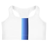 Blue streak sports bra 